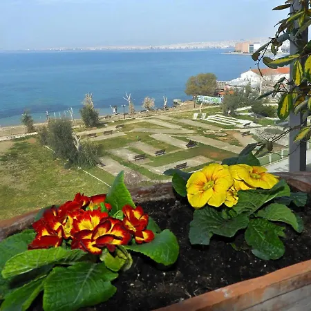 Beachfront Family & Free Parking, The Cruiseflat *